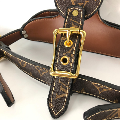 LV Hero Harness & Leash Edgy Set