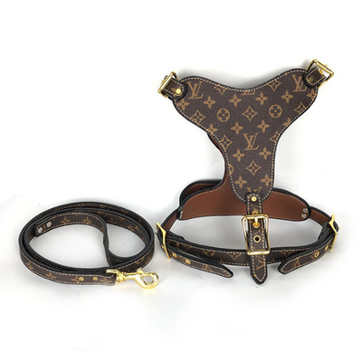 LV Hero Harness & Leash Edgy Set