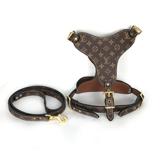 LV Hero Harness & Leash Edgy Set
