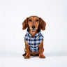 PAWSMOMENT Reversible Plaid Puffer Vest - Blue
