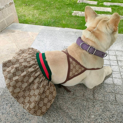 Canine Coastline Dog Beach Fire Wear