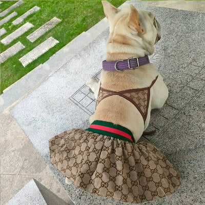 Canine Coastline Dog Beach Fire Wear