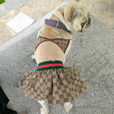 Canine Coastline Dog Beach Fire Wear