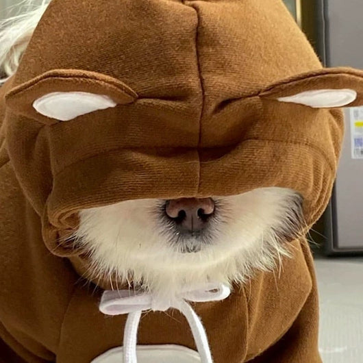 Sweet Grizzly Bear piece Vibrant Set