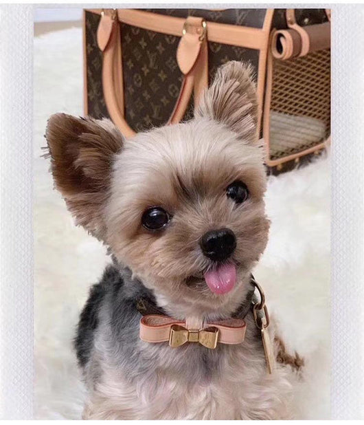 Bow Amelia Only Rawcut Luxury Genuine Collar