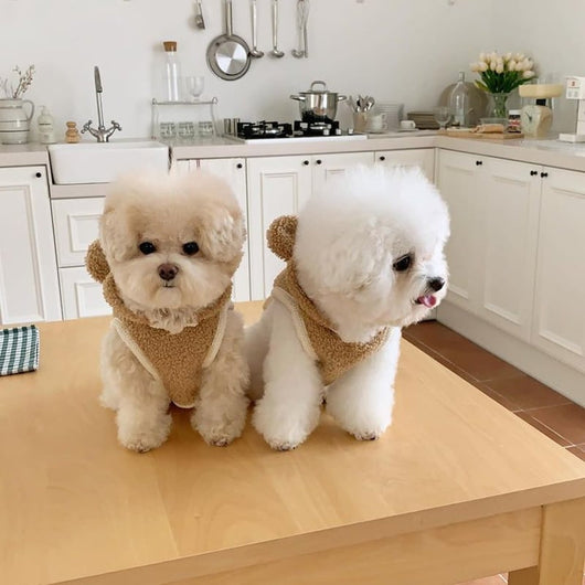 Softy Bear Fleece Dog Fresh Vest