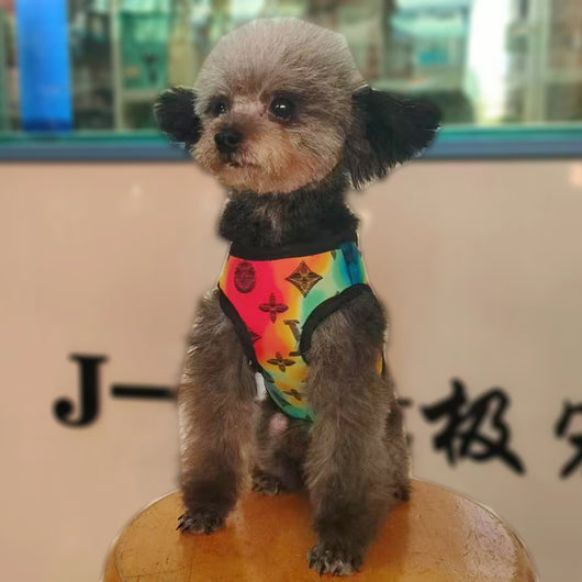 Stylish Paws Patterned Doggo Offbeat Harness