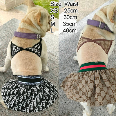 Canine Coastline Dog Beach Fire Wear