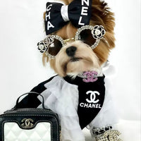 CC Starry Pup FancyDress