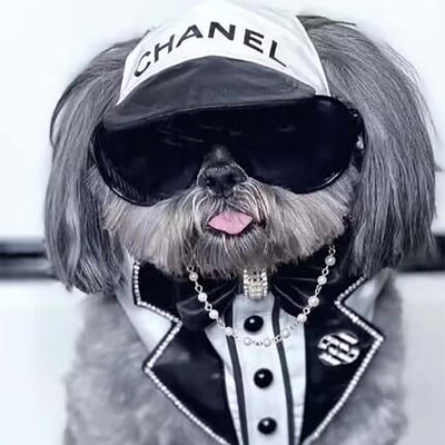 CC Doggo Lux Cool Edgy Cap