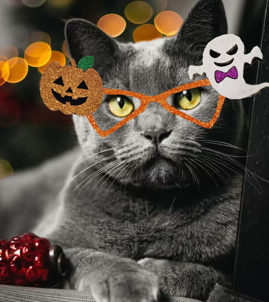 Halloween Breakaway Onyx Sunglasses