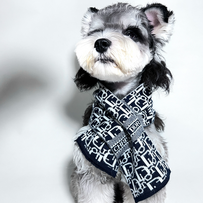 Doggo Pupior Sketchy Scarf