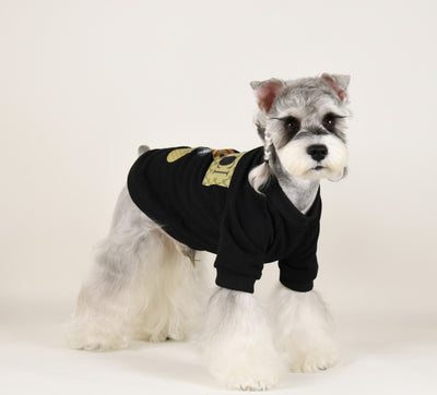 Pet Dog Iconic Clothes