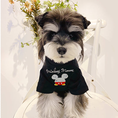 Dog Fresh Air Matching Clothes