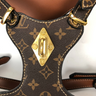 Designer Hero Harness & Leash Edgy Set