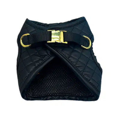 CC Black Step Harness With Leash Snatched Set