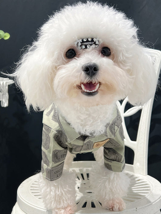 Big Dog Summer Vibes Shirt