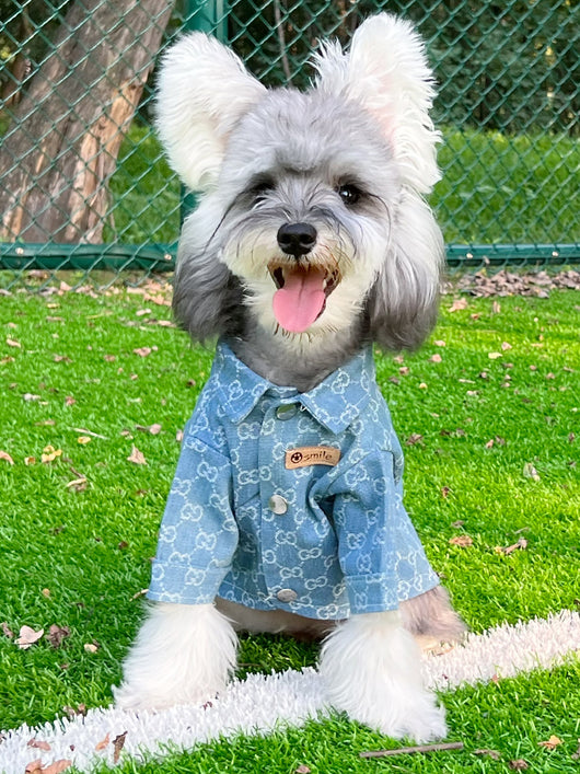 Big Dog GG Cool Summer Vibes Shirt