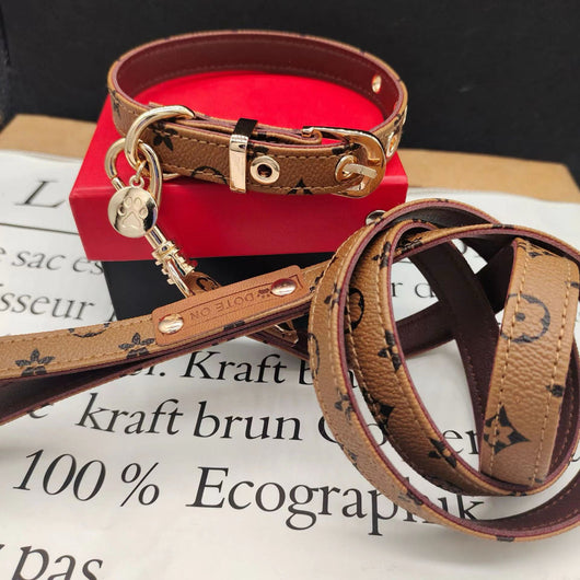 Olivia Collar & Leash Dreamy Set