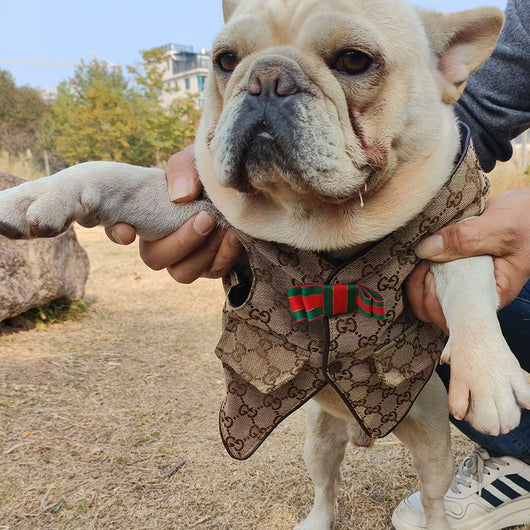 GG Pup Summer Vibrant Vest