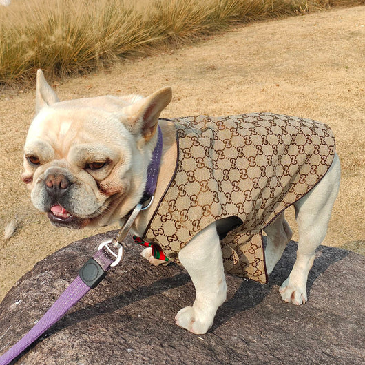 GG Pup Summer Vibrant Vest