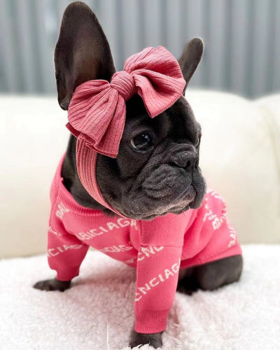 Balenciaga Fly Sweater