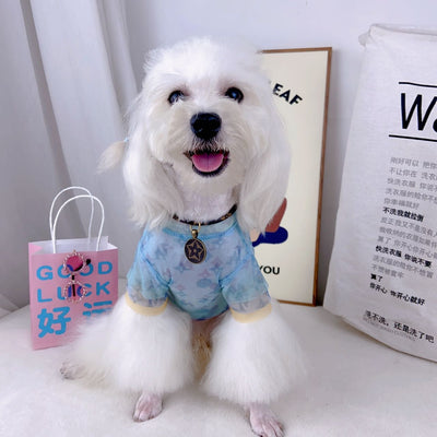 Doggy Fancy Blue Hype Dusty Shirt