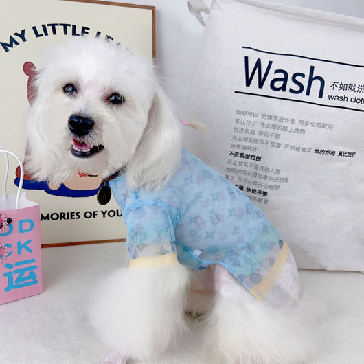 Doggy Fancy Blue Hype Dusty Shirt