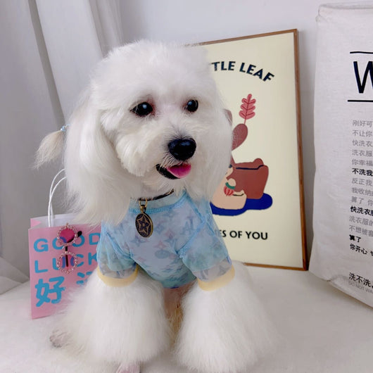 Doggy Fancy Blue Hype Dusty Shirt