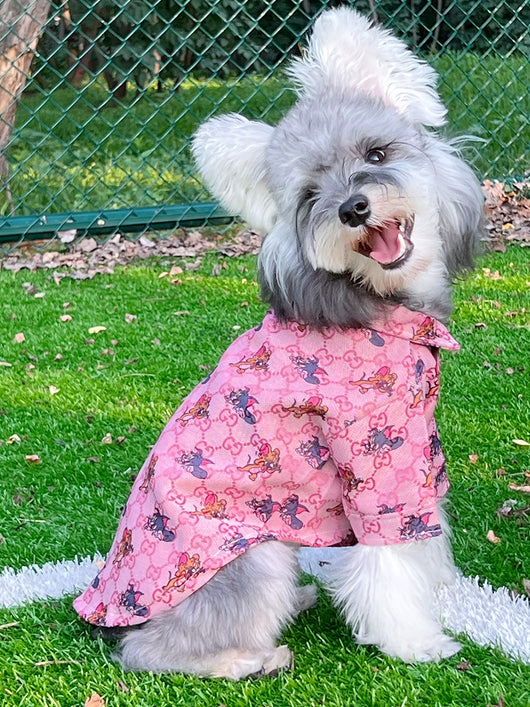 Pet Dog Heritage Clothes