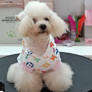 LV Monogram Warped Hoodie