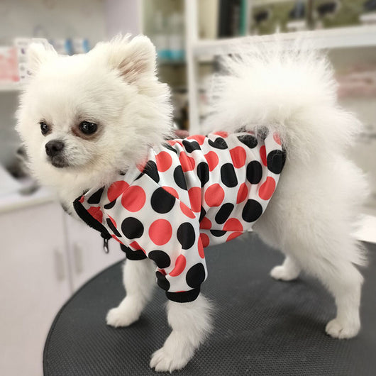 Doggo Red Black Dot Fire Coat