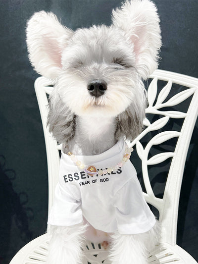 Pet Dog Lo-fi Clothes