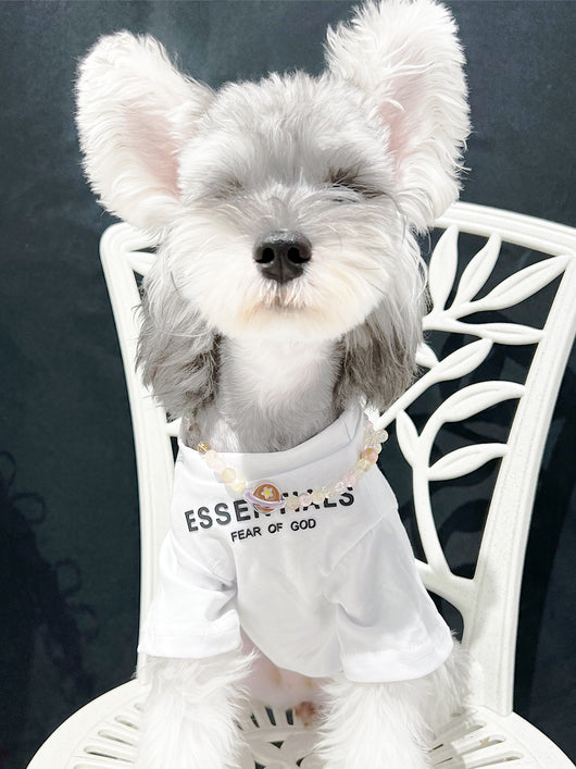 Pet Dog Lo-fi Clothes