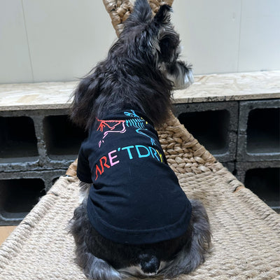 Pet Dog Clean Clothes