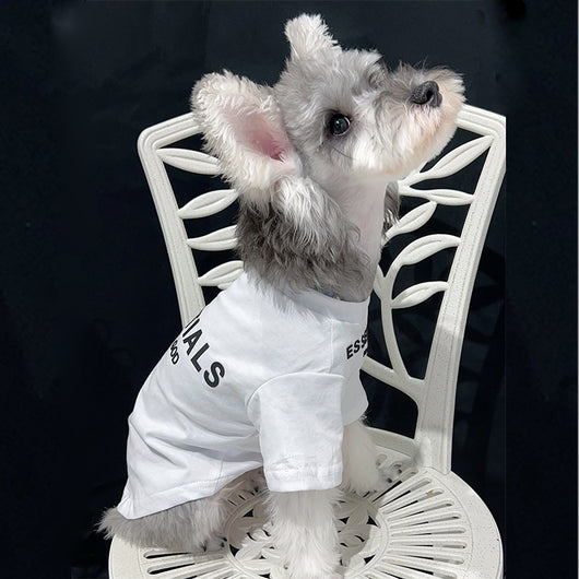 Pet Dog Lo-fi Clothes