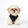 PAWSMOMENT Monochrome Biker Vest