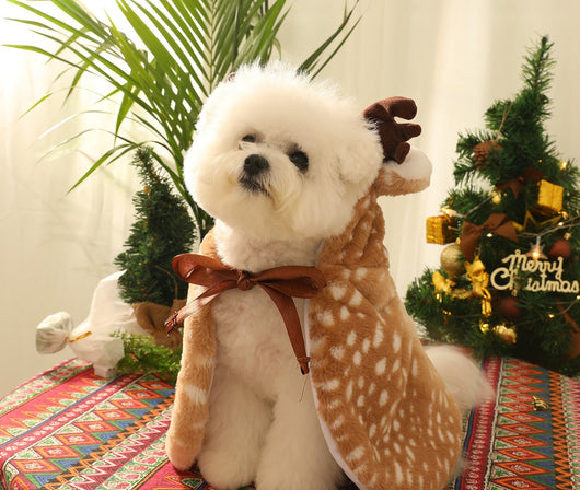 Sweety Reindeer Dope Cape