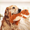 🧸 Dear Doggo Plush - Premium Quality Dog Accessories