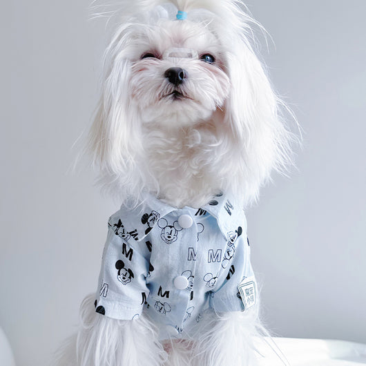 Big Dog Happy Summer Breeze Shirt