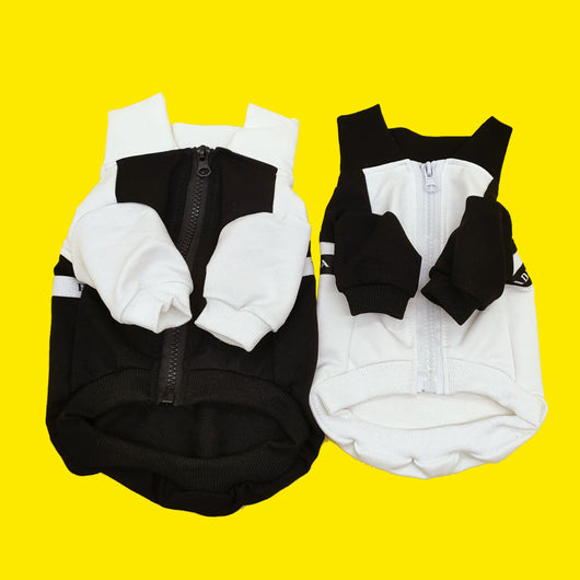 Prada Doggo Classic Layered Jacket