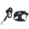 🐕 Tailwaggers Dog Harness Icy Collection