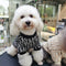 🧶 Big Dog Snuggle Knit Sweater