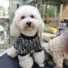 🧶 Big Dog Snuggle Knit Sweater