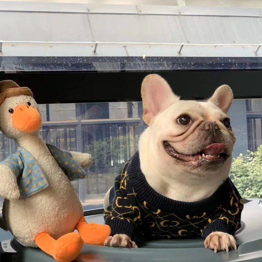 Hype Doggo Drip Clean Sweater