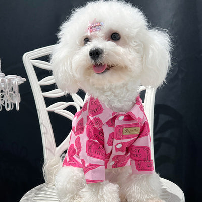 Big Dog Chill Summer Shirt