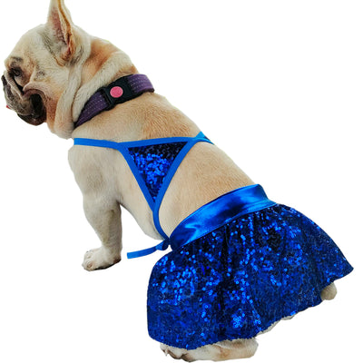 Paradise Dog Dusty Bikini