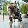 🏋️ French Doodle Sweatshirt For Chic Crisp Canines