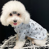 👕 Big Dog Happy Summer Breeze Shirt