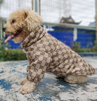 GG Sparkling Hound Wrap Dusty Jacket
